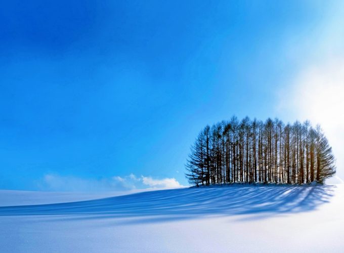 Wallpaper trees, sky, snow, winter, 4k, Nature 2754711582
